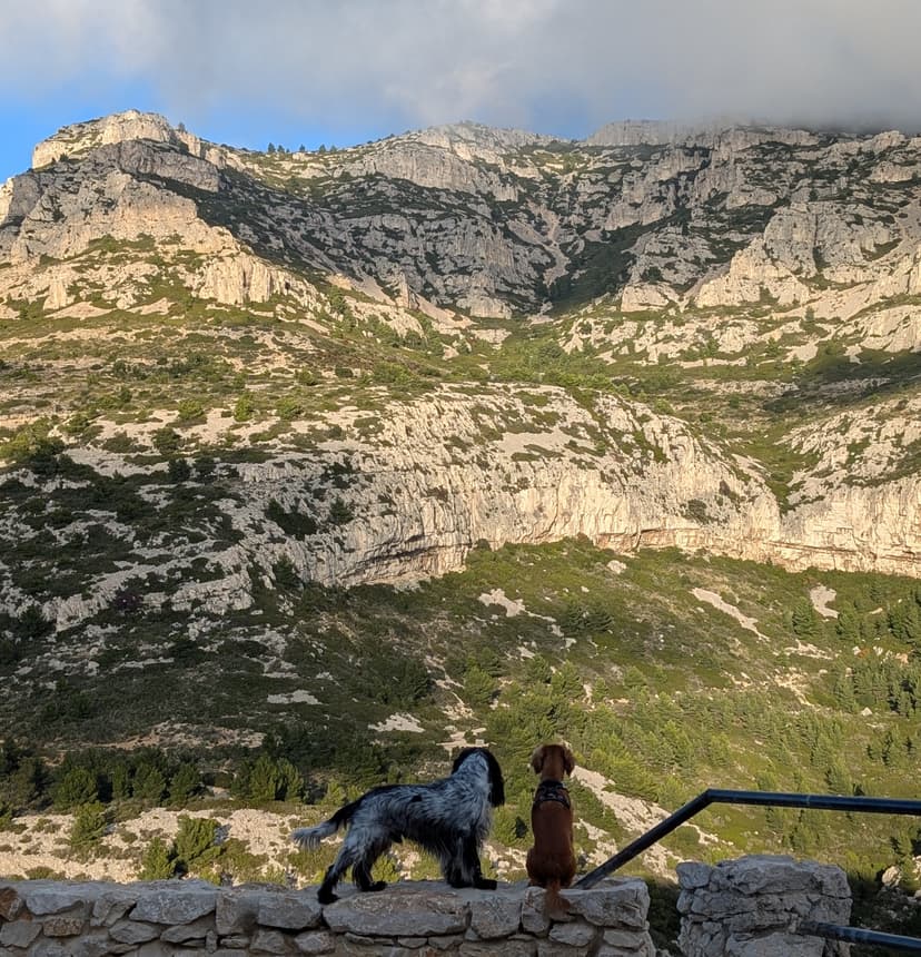 Promenade DODOG