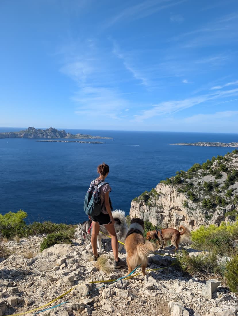 Promenade DODOG