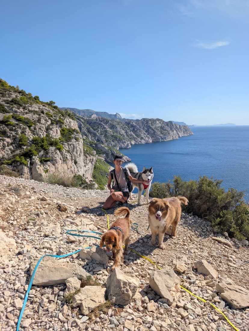 Promenade DODOG